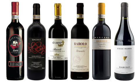 SAMPLE BAROLO & BARBARESCO WINES - 6 bottles  Tax. Included!
